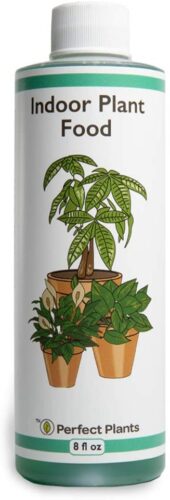 Perfect Plants Liquid Indoor Plant