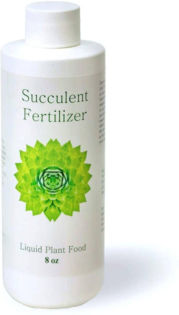 Top 12 Best Fertilizer for Succulents Review(With Pictures) The
