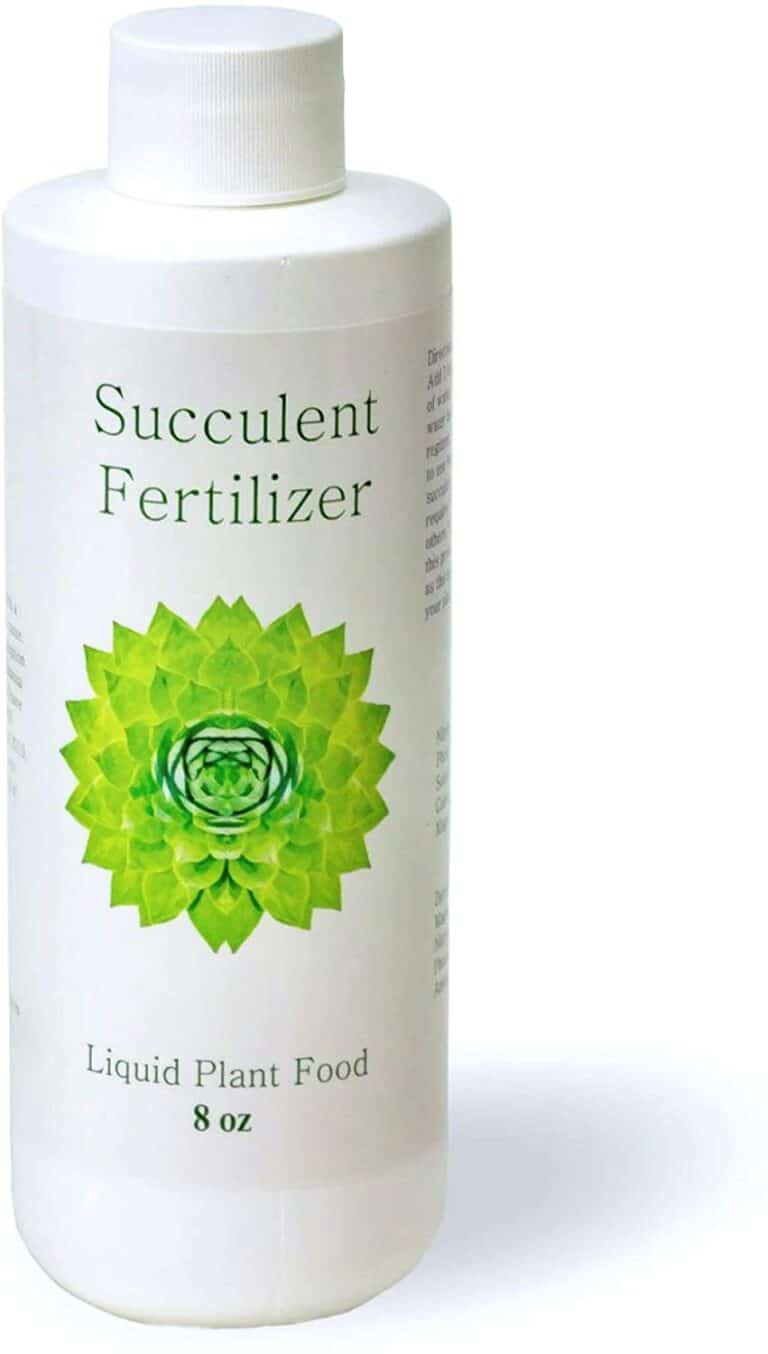 Top 12 Best Fertilizer for Succulents Review(With Pictures) The