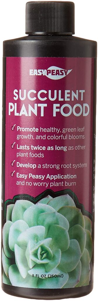 Top 12 Best Fertilizer for Succulents (With Pictures)