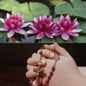 lotus flower meaning in Christianity