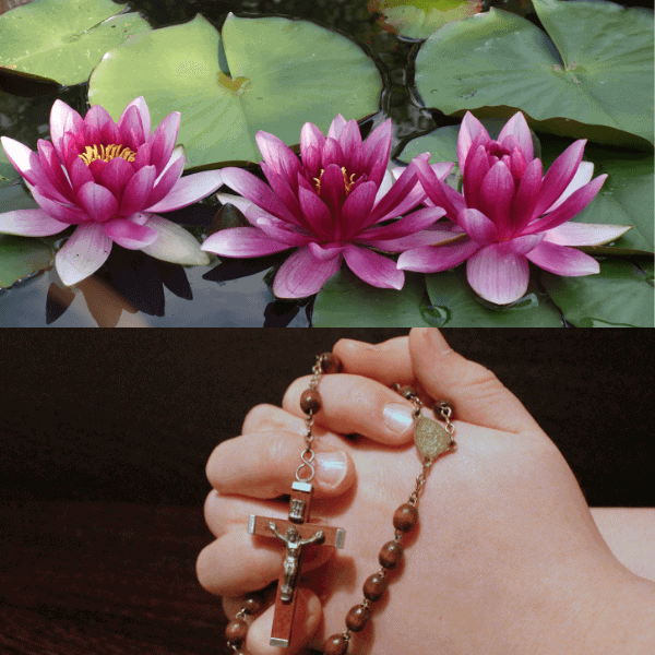 Lotus Flower Meaning in Christianity - Strength(Does It Means) - Lotus