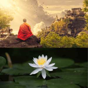 Lotus flower meaning in Buddhism