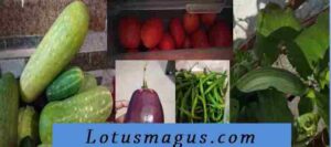 Vegetables that are Actually Fruits