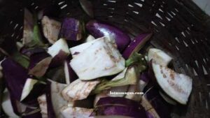 How do I know if my eggplant has gone bad