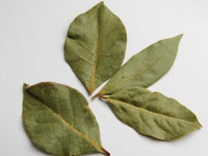 bay leaves