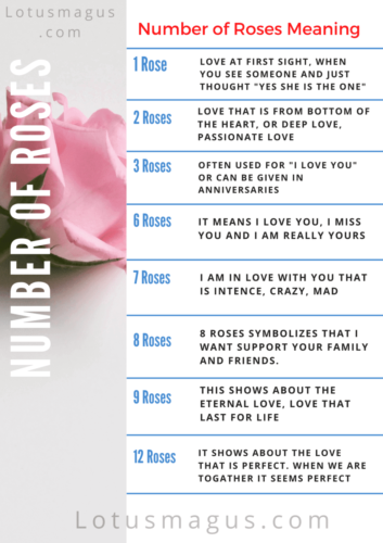 number of roses meaning