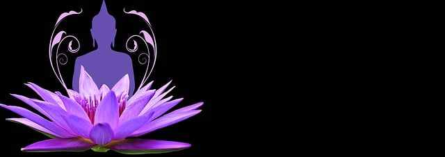 Purple Lotus Flower