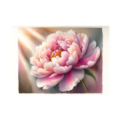 significado de la flor de peonía rosa