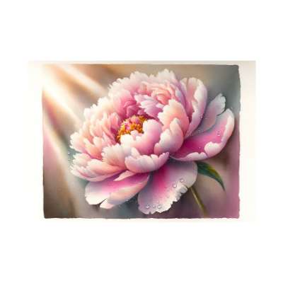 pink peony flower meaning