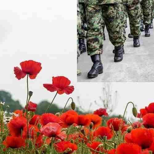 poppy flower meaning military