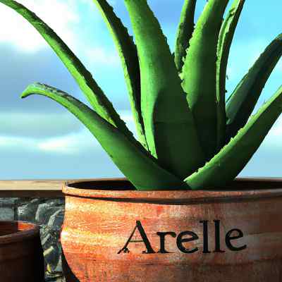 What to do when aloe is flowering? When you see your aloe plant flowering, it means the plant is healthy and happy. To ensure continued good health, check your flowering aloe for signs of pests or diseases.