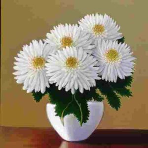 White chrysanthemums meaning