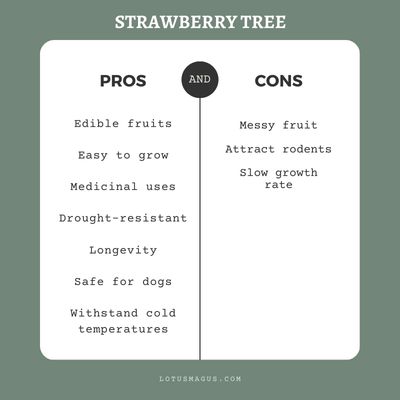 Strawberry Tree Pros and Cons Chart