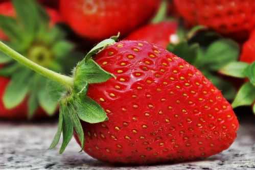 What Does Strawberry Tree Fruit Taste Like?