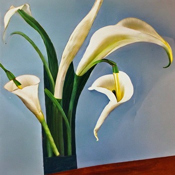Can You Leave Calla Lilies in the Ground All Year?
