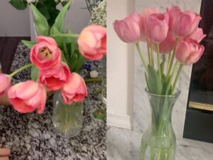 Tulips Drooping - How to Make It Stand Up Straight (Easy Trick)