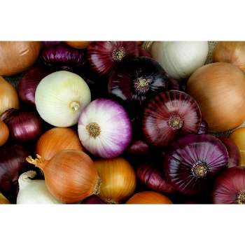 raw vs cooked onions