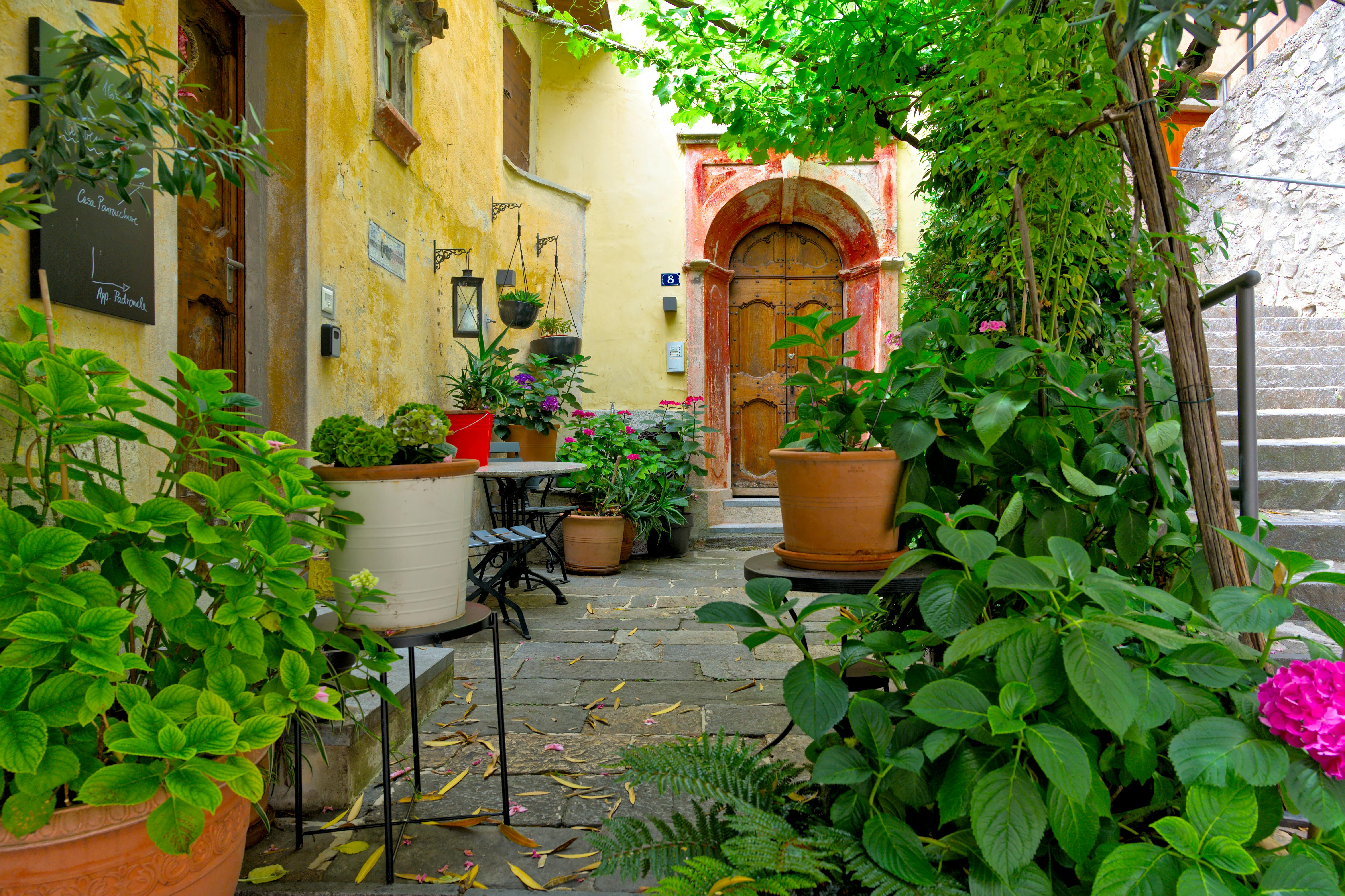 Potted Plants in a Courtyard of Residential Buildings