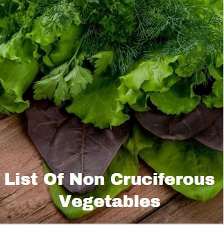 non cruciferous vegetables list