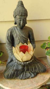 Buddha Hand Holding Lotus Flower Meaning