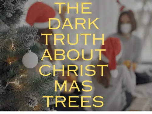 the dark truth about christmas trees