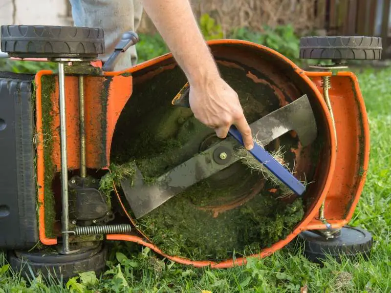 man cleaning underside of lawn mower with a stiff brush