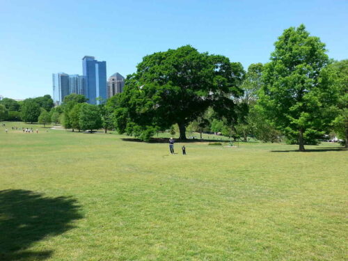 Spring Lawn Care Tips for Atlanta