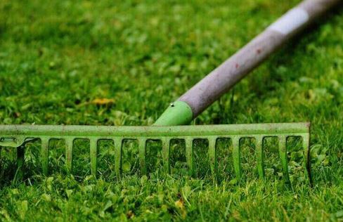 Lawn Care Tips for NOLA Residents