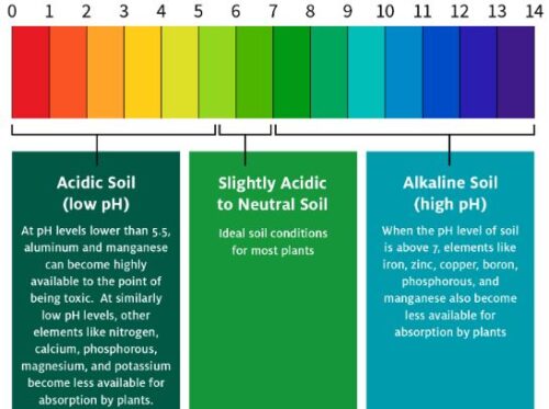 Soil pH Update