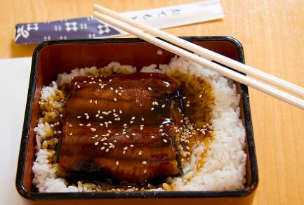 Unagi The Japanese Delicacy