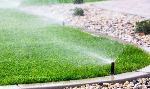 Watering Your Jacksonville Lawn
