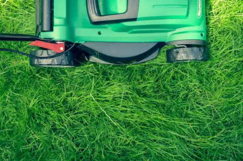 How to Avoid Common Lawn Problems in Every Season