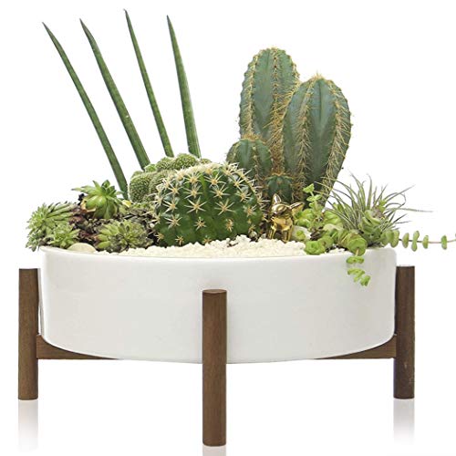 kimisty 10 Inch Succulent Planter, Large Round Bowl with Drainage, ...