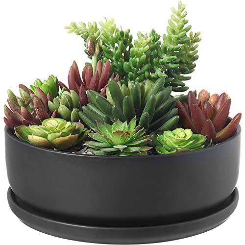 MyGift 8 Inch Black Ceramic Indoor Plant Pot with Drainage ...