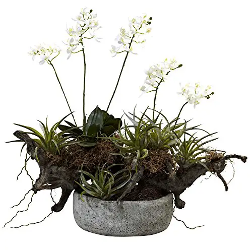 Nearly Natural 4839 Orchid and Succulent Garden Floral Arrangement Set ...
