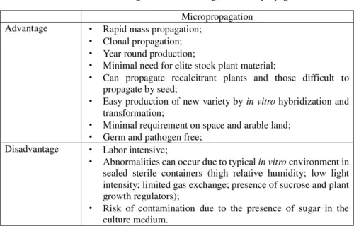 What Are the Disadvantages of Plant Growth Regulators?