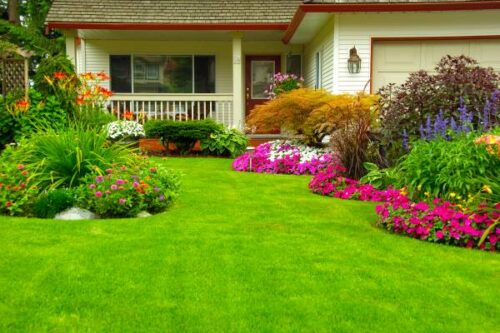 What Are the Benefits of Growing Ornamental Plants?