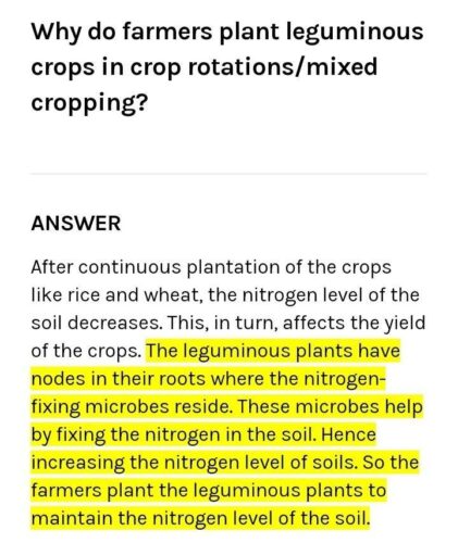 What Is the Significance of Growing Leguminous Plant in Crop Rotation?