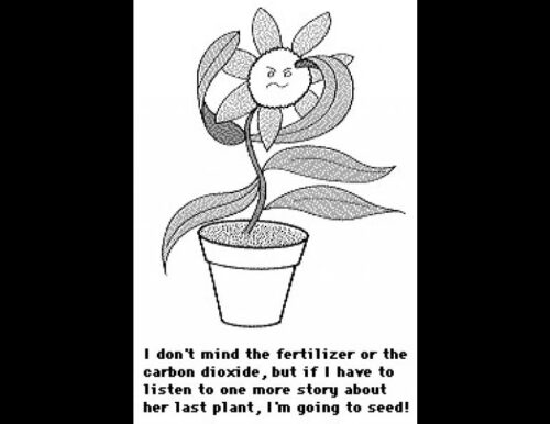 Why Do Plants Grow Better When You Talk to Them?  
