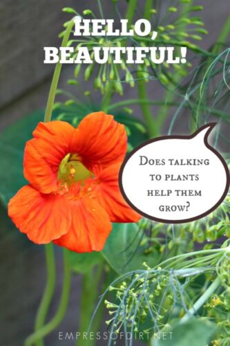 Why Do Plants Grow Better When You Talk to Them?  