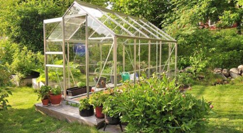 What Are the Benefits of Growing Plants Under Greenhouse Conditions?