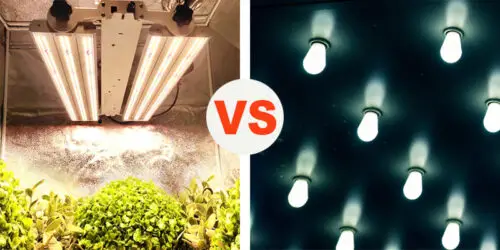 What Is the Difference Between a Plant Light And a Grow Light?