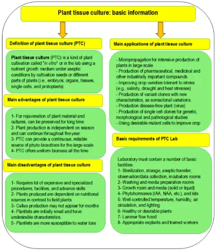 What Are the Disadvantages of Plant Growth Regulators?