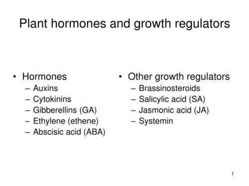 What Is the Difference Between Plant Hormones And Plant Growth Regulators?  