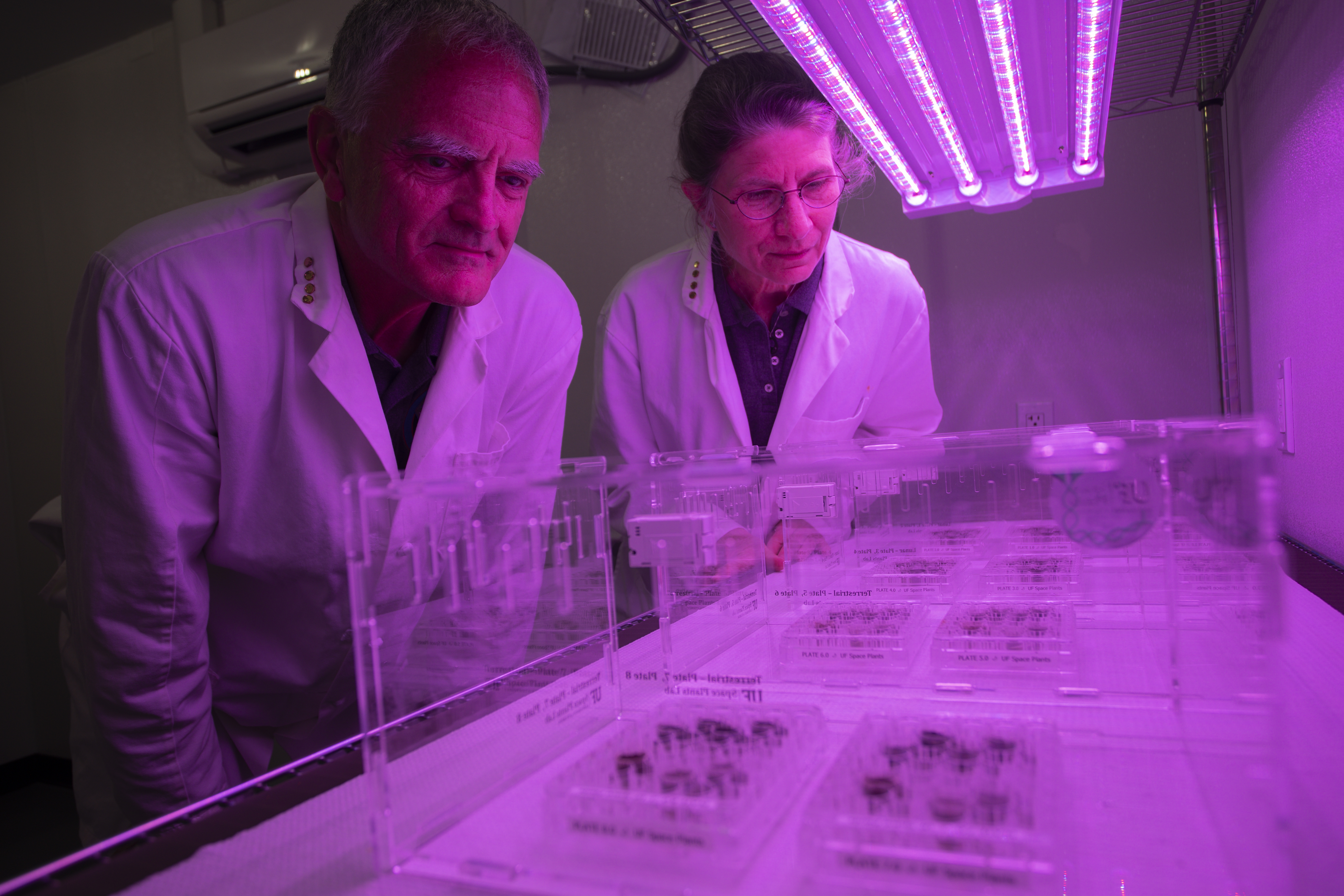 What Happens When Scientists Try to Grow Plants in Space?  