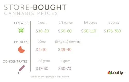 How Much Does It Cost to Grow a Plant?