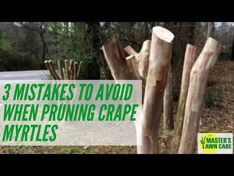 How to Prune Crapemyrtles Correctly - Simple Steps ( Avoid Mistakes)  