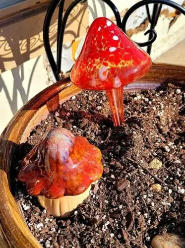 Unveiling the Mysteries: The Yellow House Plant Mushroom in Potting Soil