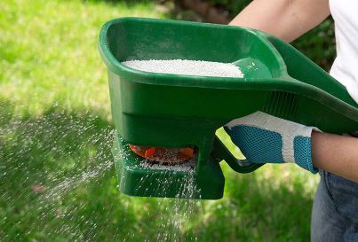 Fertilizer for Your Lawn